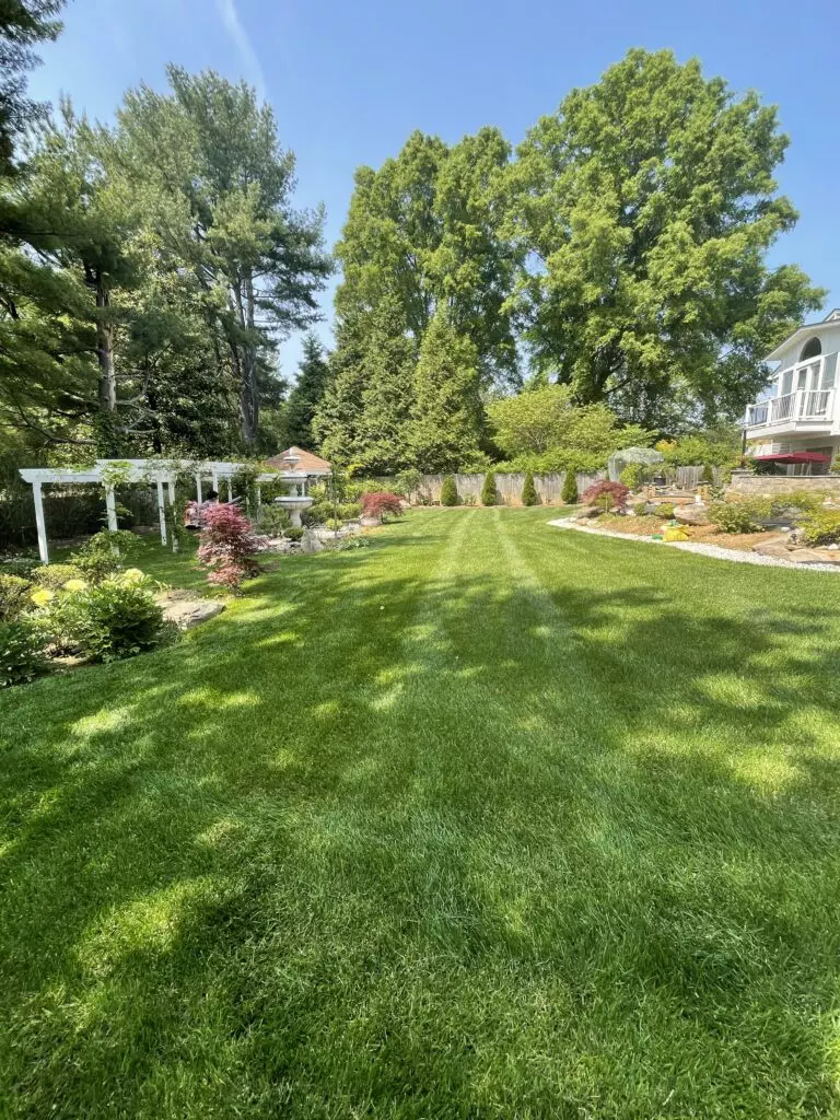 Weekly Mowing