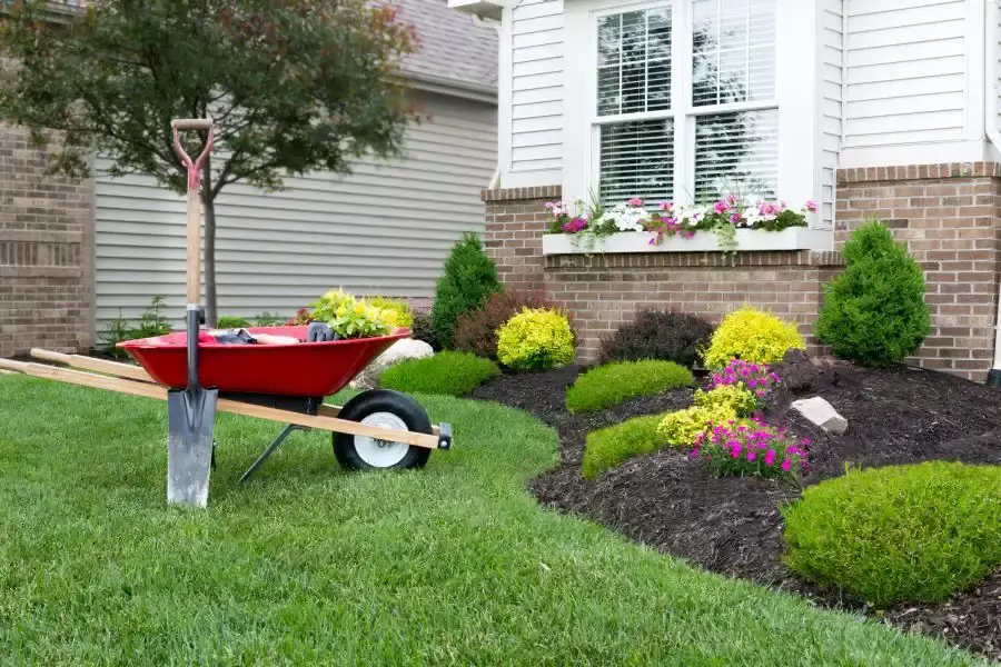 Landscape Installation
