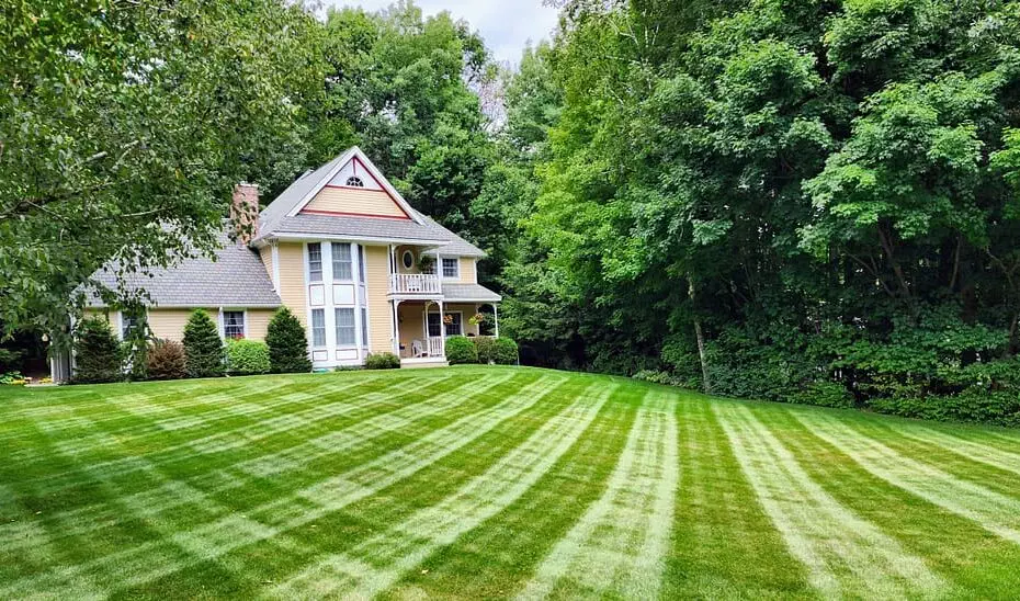 Affordable Lawn Care Maintenance in Bethesda